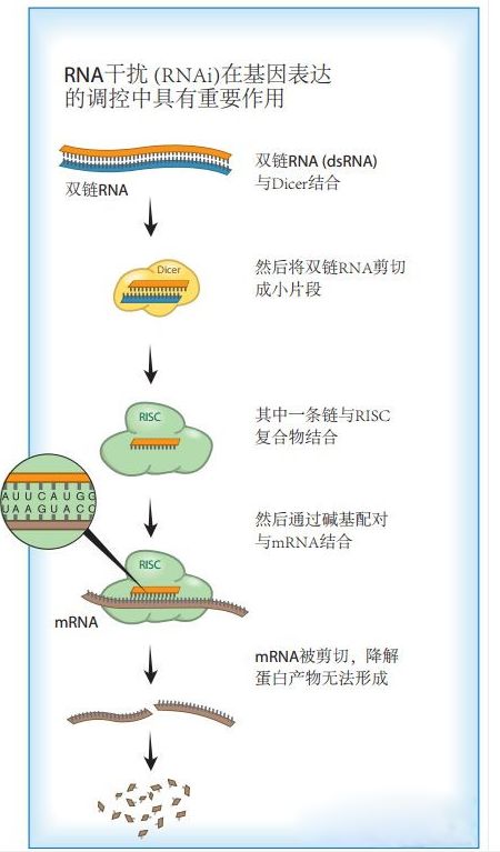 RmFicvQBAkgBh4E01IAELyNAH5VLnJb9zibMDFS3UpuUwFnepPnbpkS6y3xNicAbcicxswV4QYlkyj8lr1tCn6ooFg