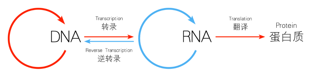 RmFicvQBAkgBiaYibRTibib1X4zdUiaOYboZpWnCZZU4ltvMdQtdbsAiaQDIrQhacorrfFFEBC4f8B2sbBePumaTfWh4A