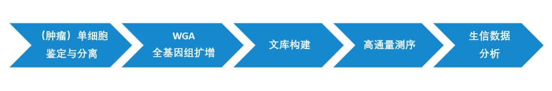 RmFicvQBAkgBiaYibRTibib1X4zdUiaOYboZpWteOwQgPnHqOgAnwSEtpbiaIZZRlzNGadgO5S0f0zjrFGuzjXYvwHH1w