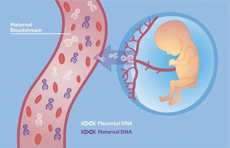 RmFicvQBAkgBicN1OxhomY7QCogJTGFtmTJmCJR4t7GElNnAc8Bq8scDzFrDDhEDXZ0tDBh5XM05ohtaBIP0zq0Q