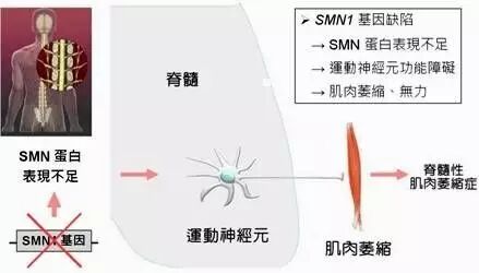 RmFicvQBAkgBicOicQvFu5myrw1PNqAmics3vKLqqbXdEI529IEN2ics61c3XQtc5gDs8pibtYt9b3fgSkKSNzpxiczfA