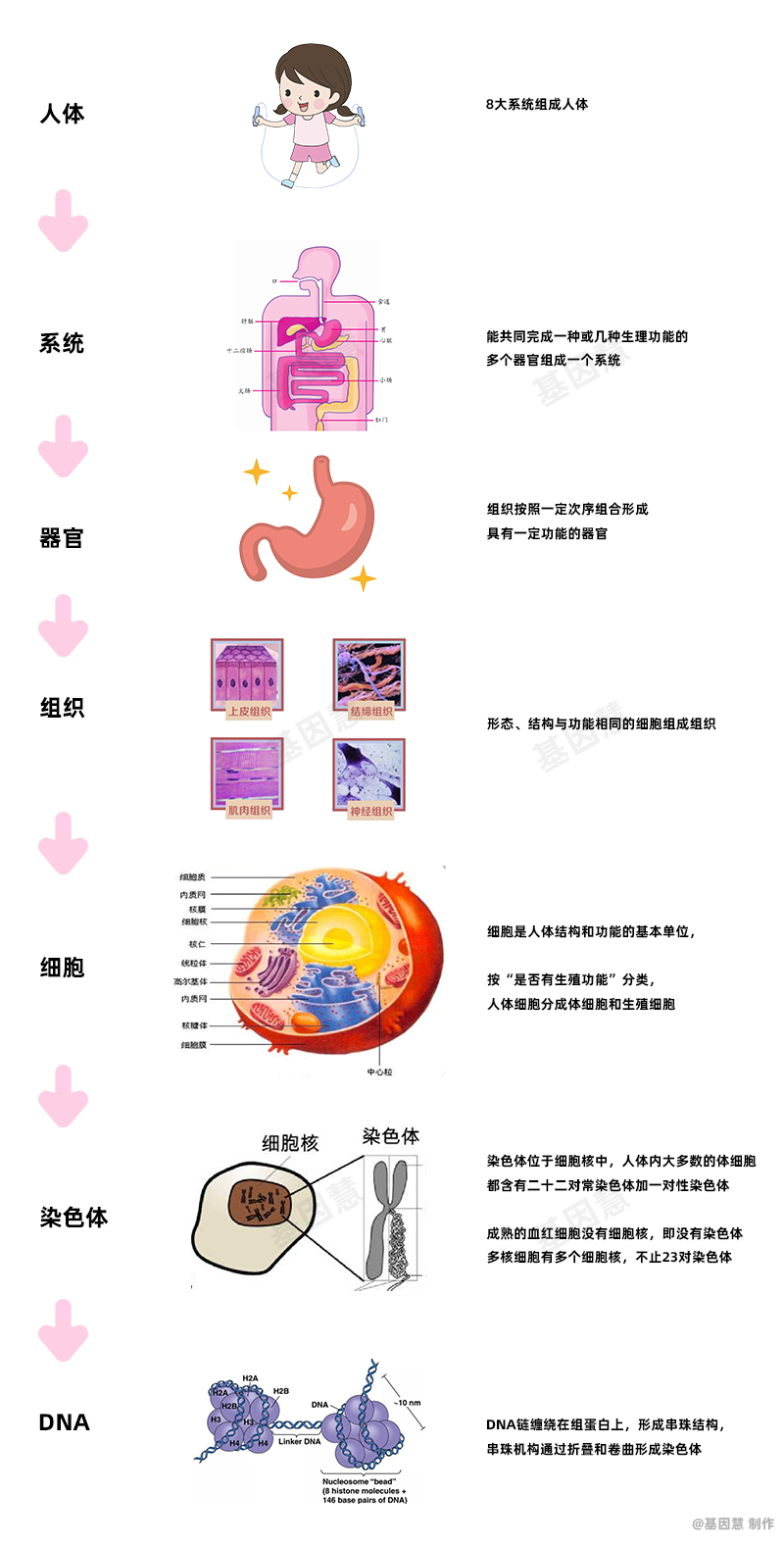 RmFicvQBAkgBicltic89ic9gJWU6sMop5OicFnfaNPyDuCtA2lVKU4p5aZKuI0Q2zKnSECicpEbhYpok69uPeD4vzbyQ