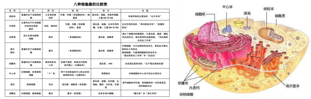 RmFicvQBAkgBicltic89ic9gJWU6sMop5OicFp3CB5ib5XqqAaWMtXgEE1339Z3l1xCYa8hbWannlmXLl4tXcAbV19Iw