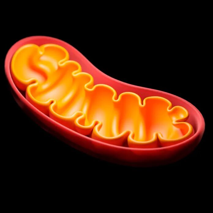 RmFicvQBAkgBjeShj5pJ5diaPdrM6l7enJWz9PKB0IHLBqzGlNpROiaZFXpjiacaoicI03UVtdRUicryxefmYE8rxZ5g