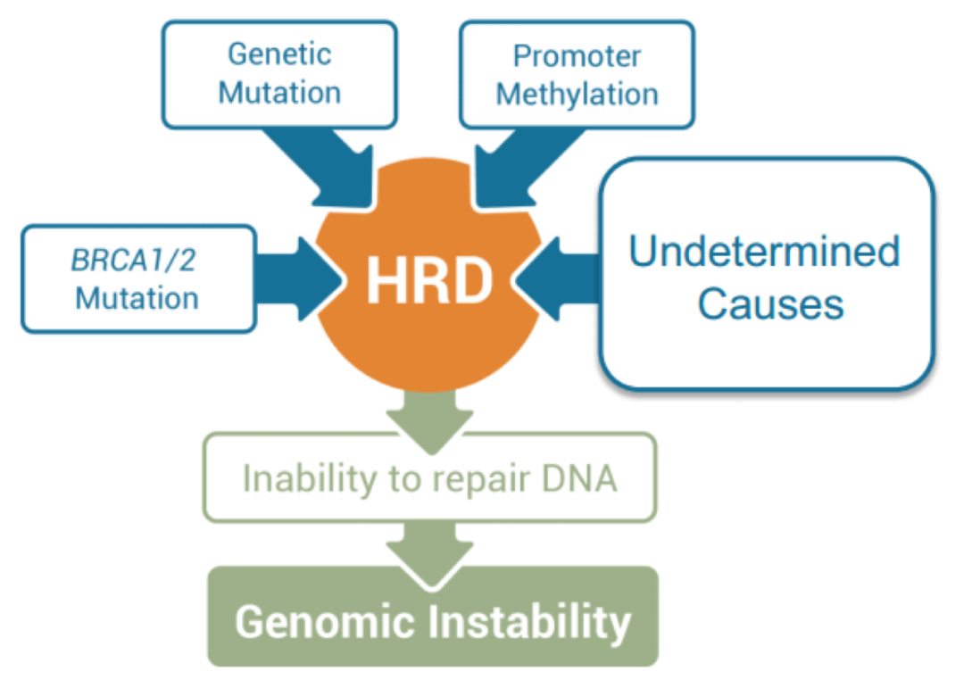 RmFicvQBAkgBl8aOlERzOXSqbcZHuU4hYJibdD4Iwoh7b5hicliaicJFrxgrl6YdxsYjuE25sBP26ArGUxseJ4dGdHw