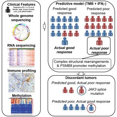 RmFicvQBAkgBpibG0zLQHyROKg4C88sJzXib3SIvAUCzxhhYtdZIzLuIfgEiaIe7W7pibVRkBstcw53IRs0IVmAdBtw