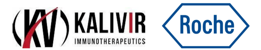 RmFicvQBAkgBsoia3htHmy0NNMwwibJAF7xG5uhTlHsAYWvIqJ3mxFb6CiahGGMCaLhqyJ2ibiavZDxriaJSjdt1md51A