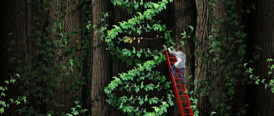 RmFicvQBAkgBuZNIHHwEBMukfHAN7maH8v8vtFsaSfV7FcNE6Z5USN2PIAKpq5zicsXoNyaWAibtmG3RvUrBnlagw