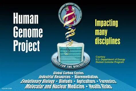 RmFicvQBAkgBwWad4deqsveFV7ibrFCnIMU4wCCwzVibt4PAHOx7Fk3aqvI2T3ysQQIAWibFv2NlC9jqbNazib2icf0g