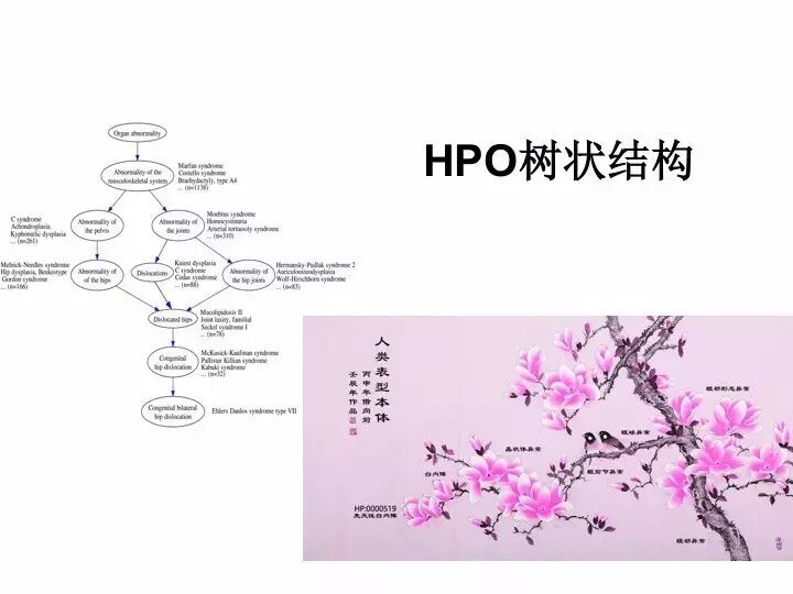 RmFicvQBAkgByqibsuS58CnI2vk4hgZkicpbeciaU5S8e9n6kserw6uSzS4oDycPic3j0QJFJrVjpX9lR0uovlCv5Mg