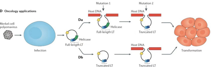 RmFicvQBAkgC0XAfYibBZmpRhCcppsS25hEm5p5QJ0L4qiaOiaETk9W7ADKFHIFUicB9ibqUdSbV3qAdicSYicvadsribZA