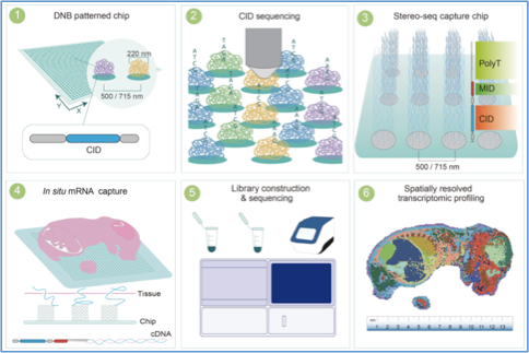 RmFicvQBAkgC3tfic0hPygaRmLICooib5s01UqpH489bv3eBIQSMAGQOzzEkKlqVeK8JgqP5Q99tM3Bw3XIYLJPHg
