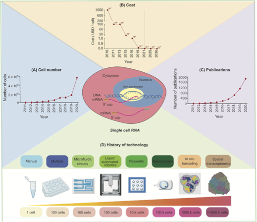 RmFicvQBAkgC3tfic0hPygaRmLICooib5s0WACJ8ZT5ibcMZjV5kwHcoWE9EK5IB0GZPFTPPytMpgKq6XJT90LvlqQ