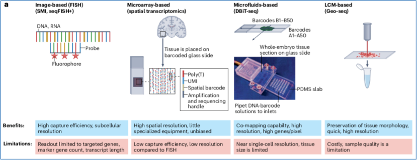 RmFicvQBAkgC3tfic0hPygaRmLICooib5s0u3tziaLVPiareKeMibNbbFsl19IYMHnz3M8jglfE9bneE4X9XjNqyyFTg