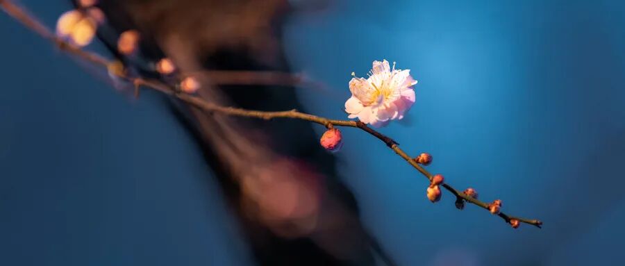 RmFicvQBAkgC5j2b7ibsZX3MEa8uEVUhwm2hsf1Ed4iagh1RNthpECCJJiaibJdq0Nia0DYp6ibibibLrxxm8l5FXNViaNDw