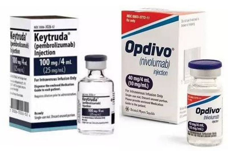 RmFicvQBAkgC8aVbuyPqZF6bVAXNtgibREptvm7kQBPOWm6Oc8ibwo5sImUdQvNcv8VgOEGsNnHT9p0G4eOAhFNnA