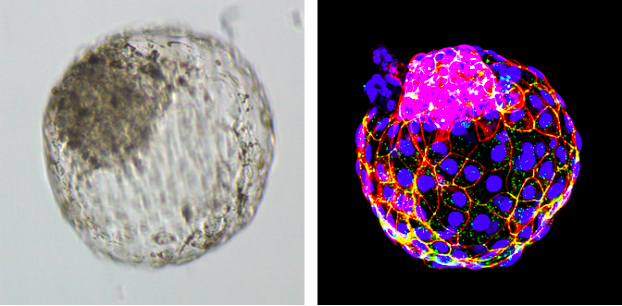 RmFicvQBAkgC9dCnCVRM3QQyxPA2reWc44ibns7xAIq369BdicuNrkhJuY3fAyzpSxWAbh4cktRic0nf9mibHmE3U3w