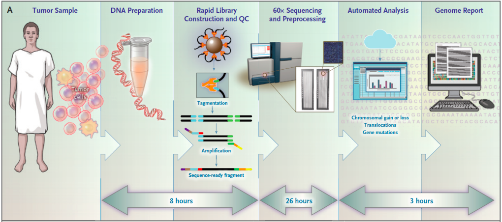 RmFicvQBAkgC9dCnCVRM3QQyxPA2reWc4kQ1hOQsWoggcPoezhNC9Rzkxs5ViapJVdQPkC2dGVcHkREvQicoqFPNg