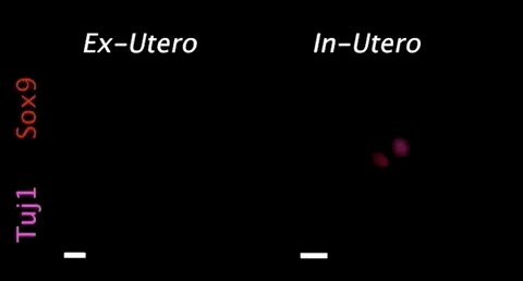 RmFicvQBAkgC9dCnCVRM3QQyxPA2reWc4y8rSZKqo1lrBcIfCw0ZTJ35NUrPN0QpADYyH4MMFlRoxCZbn5envIw