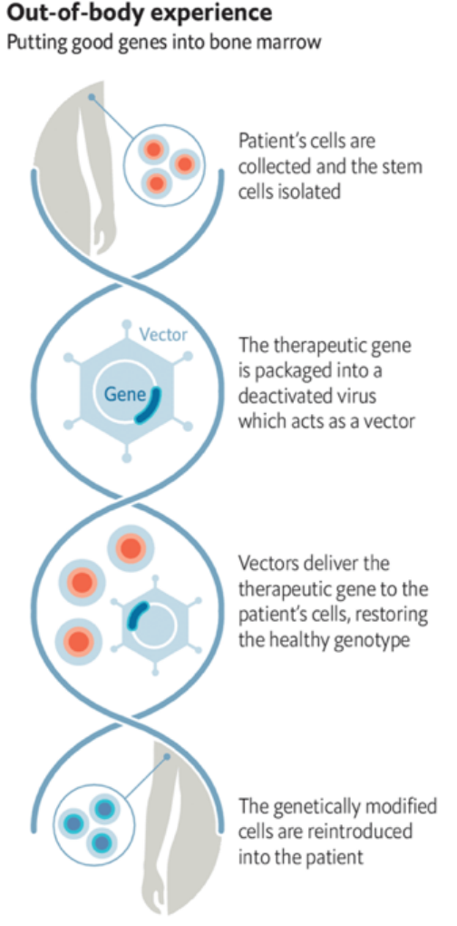 RmFicvQBAkgCAiaeq9cfp0QgQflSNWrFfnpNUtZIgrazc5pUgxOJgvBPdsvhAREKvXfCgHPyjKpqib9QicniaQStP2g