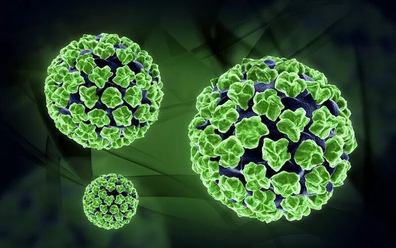 RmFicvQBAkgCBWx1VDiabyr6qgsEbibGc9oK50KIb12ib6vnmIXTHNtw3JiczY7vlVhUiaDt2zrQvRqWVkKeW5saDIyg