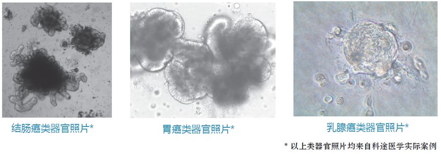 RmFicvQBAkgCCCgTqGPFTUOnxUiazCfaDQFWUYIKLmIicbmIibibFQ45UlldoZduQz0Pfv7Eib2uia5aFc05SxlssYELw