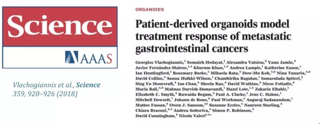 RmFicvQBAkgCCCgTqGPFTUOnxUiazCfaDQXpA5m0KE7cNvDy98BZ3prkEAZ6870v0gaeoh1zDFFYpKdwfZPC5vuA