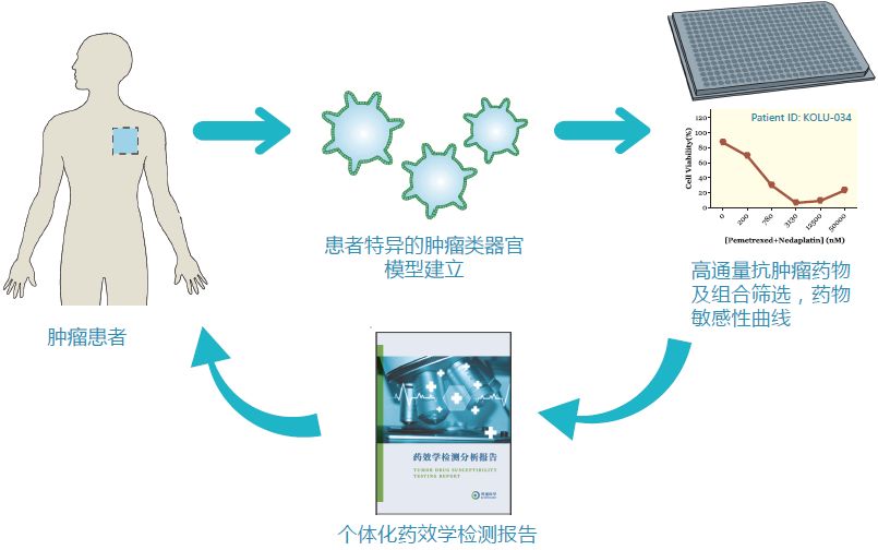 RmFicvQBAkgCCCgTqGPFTUOnxUiazCfaDQgAsp2JiawXHc9AcARf6caTuCFBJCvv1TrvcnVNlAhUzKLpYiaDZ619UA