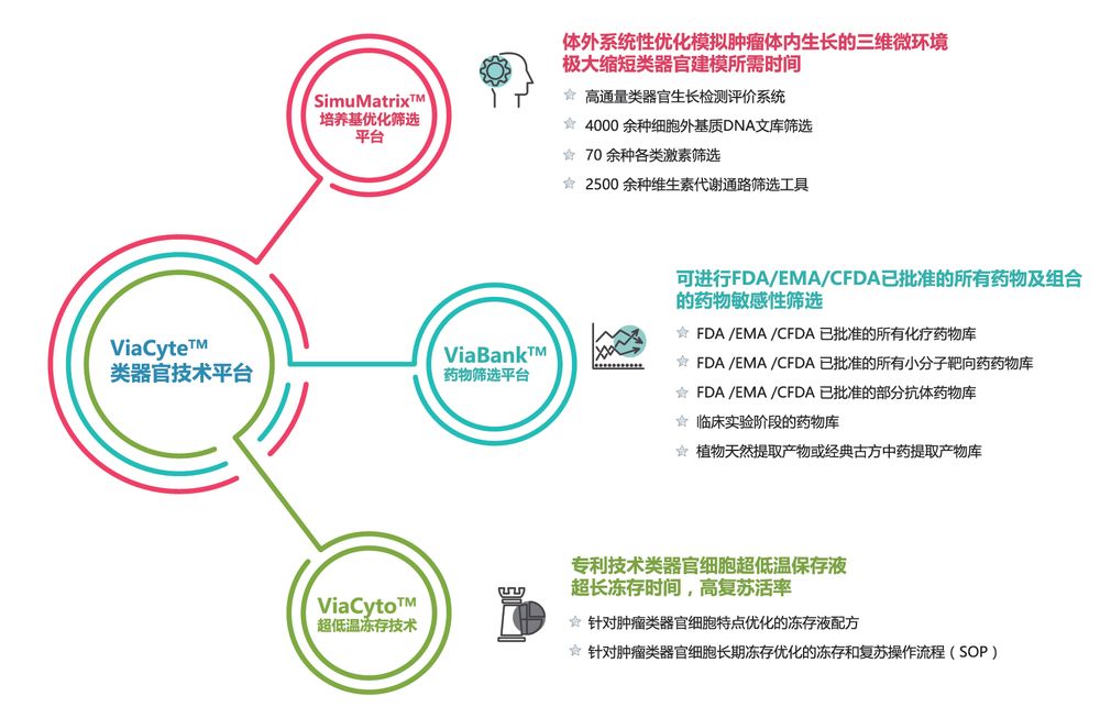 RmFicvQBAkgCCCgTqGPFTUOnxUiazCfaDQjEBFFK0hiaw99hbjVj6zrzo4Oib7RTINZZnKpQjPJJiaLiae3c8umr88DA