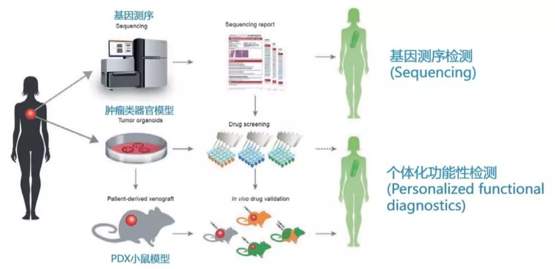 RmFicvQBAkgCCCgTqGPFTUOnxUiazCfaDQlJjqWRz7KVxkgQIfQhkOvYUMiaEat2o8QKr99kqV0c7dQcauGZKaf3w