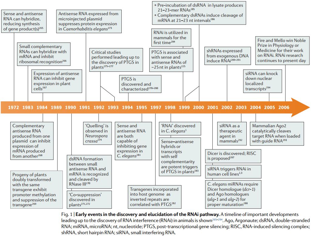 RmFicvQBAkgCCz9bXVkgu2Qc8zPteW4X2gKQXK2S5LNuoR2Gric0t0UBTYBa5J74PkO6Jp5fDicgZiatLrounOZvOg