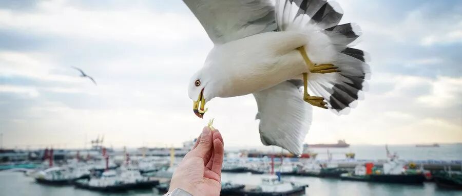 RmFicvQBAkgCDluhKuyUR5F5cKTibYR58EZdayHsJ2hwM5sVJpD4QZ5KuZz5zzpzY31zvmLbNvNLA8sfxEdH2Umg