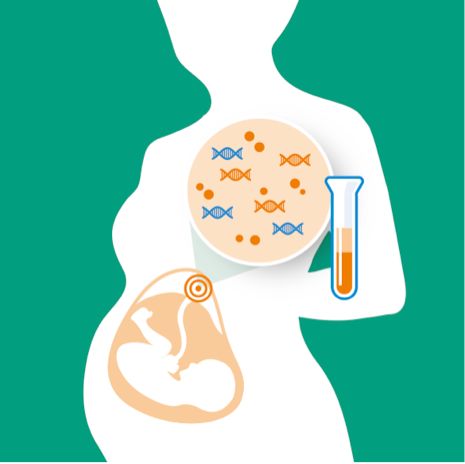 RmFicvQBAkgCIniaBVXdZJGhprQkPPCBddPJY9KmARnrXicLD8iaJAJ2rmAlq9VRxXmGvibsSSnxLDiaFZZBnpKLp5Ig