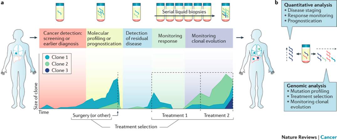 RmFicvQBAkgCJiaziaBkdnjAJyjeW8BQQ2sL2kJaLZVFhmPXXicNIWkmRBcyYHrUpRNiasl7PNeR5vLdt513sf0j7iag