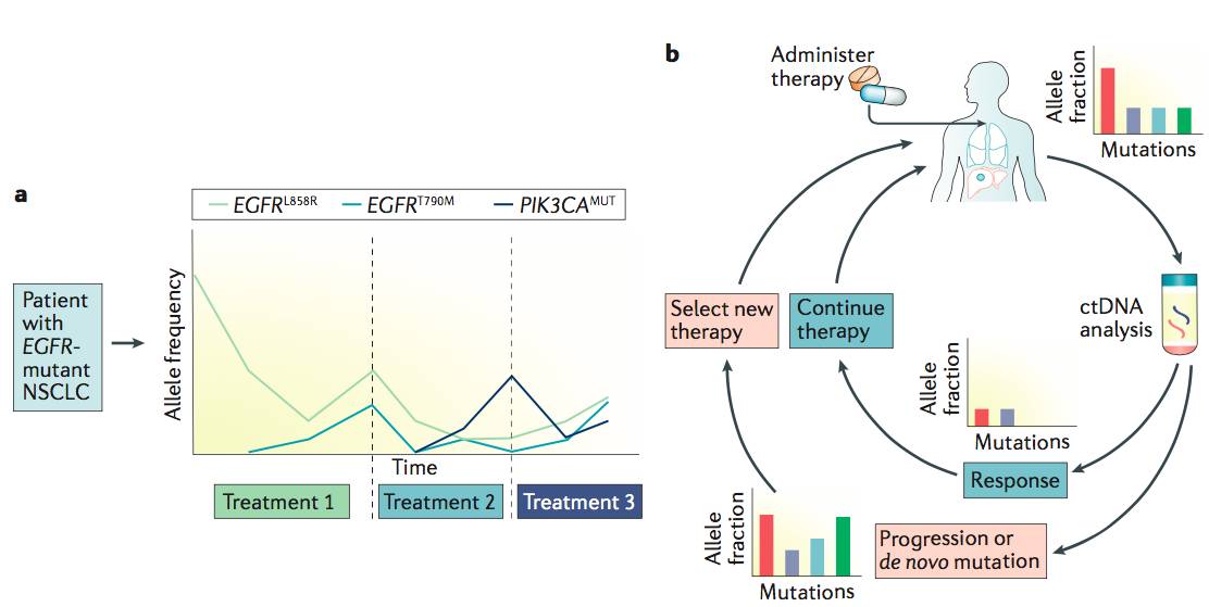 RmFicvQBAkgCJiaziaBkdnjAJyjeW8BQQ2sW3MEgqNEGLGO7qXQ3F2cTEXAv2awJuYrW04C8LUmqkYDOOec2pZAtg