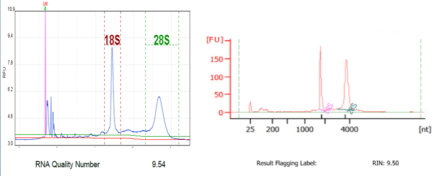 RmFicvQBAkgCKaWRdSoZsjm9kZ3WialKvHhegG9GgsXY6pgcRAIDUtAqKT488IicFJicSO673NiaIOzppwNr9ibaIBvw