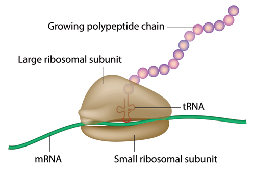 RmFicvQBAkgCKaWRdSoZsjm9kZ3WialKvHlTB3q0yUUIWaoSGwibsSGXiaauv1ibfA6hSnjjnACaKAVN32FtLWHbzDg