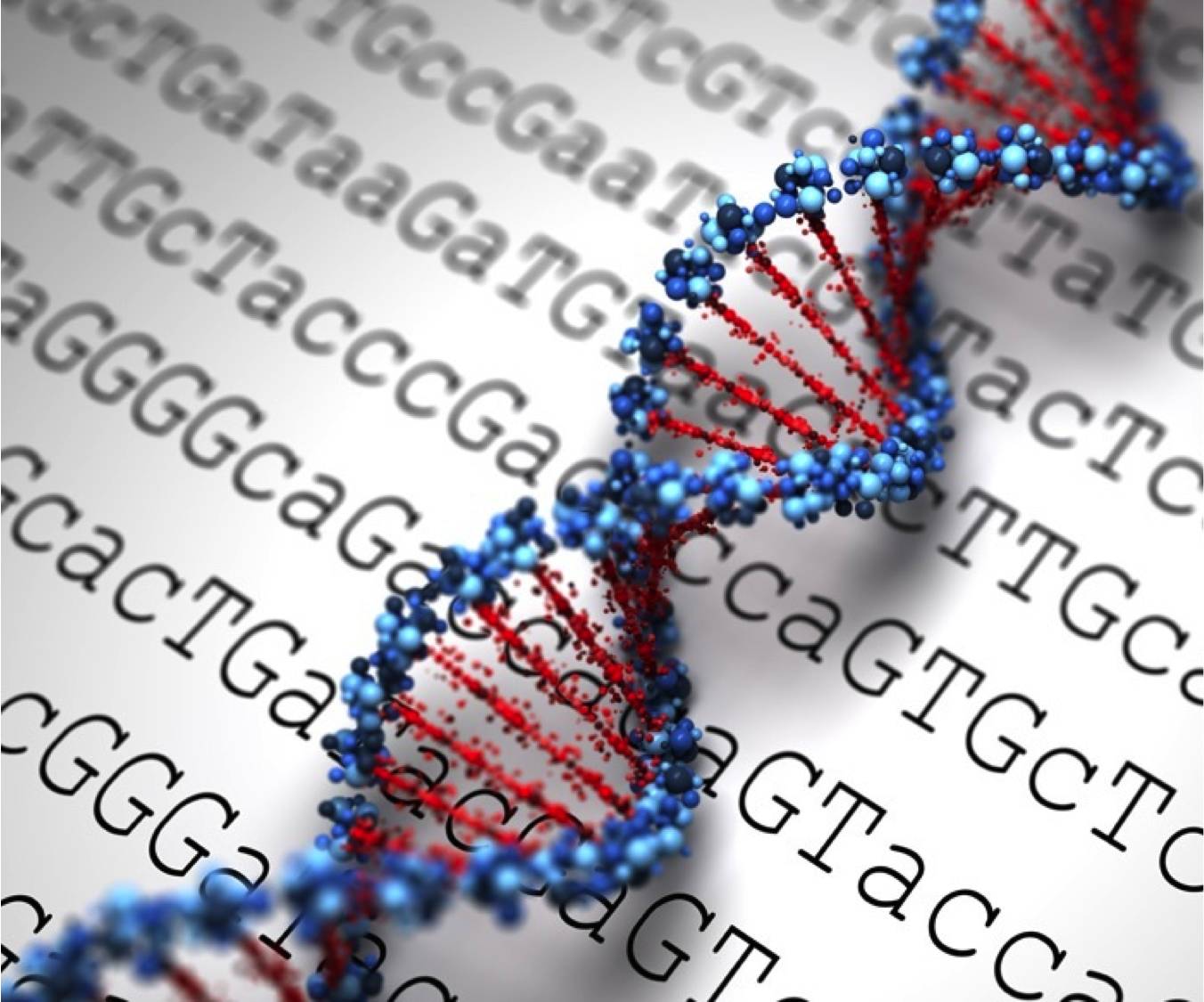 RmFicvQBAkgCL28bic9xtKblOweekFhnCSj9PfRQ2XYeRVEeFKR0mAPibawhQ424ssWR0QyBic7yv9kJeOUianhysHw