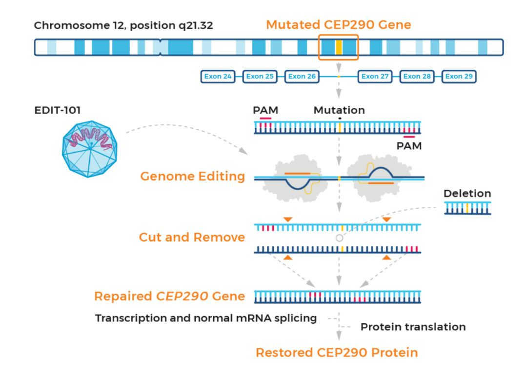 RmFicvQBAkgCOEhmiakQrDJJicv1LicuRIPXCLZicHC9YGZvx30Cq2quBZ3Giavpciao6a68mzvpWoN7ra1JdaL3VgO8Q