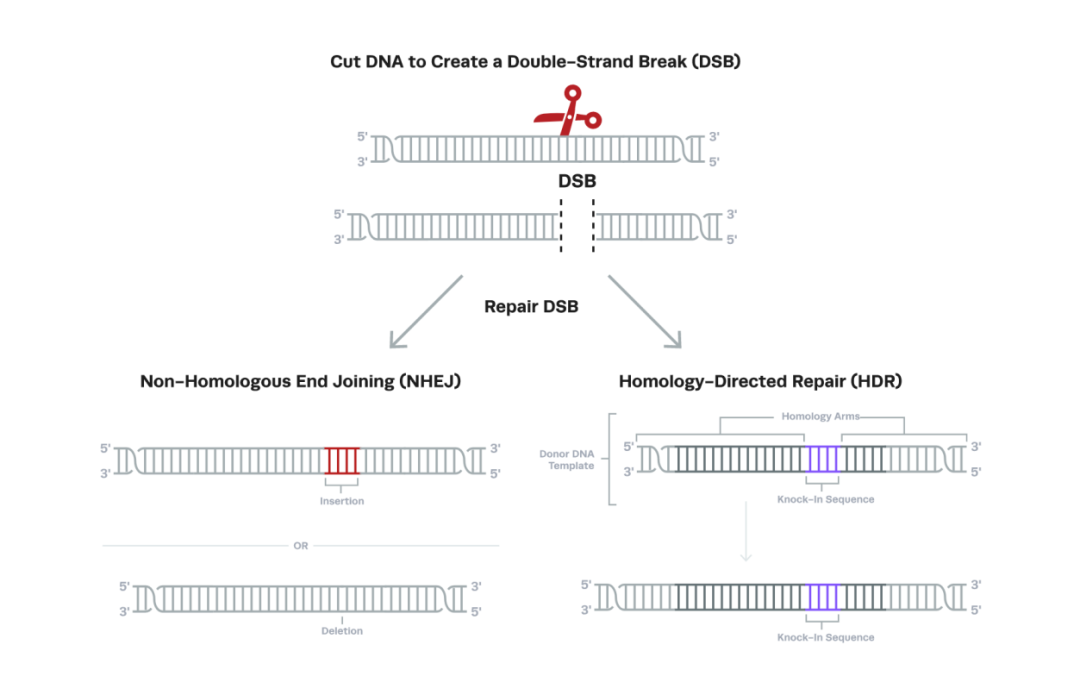 RmFicvQBAkgCOEhmiakQrDJJicv1LicuRIPXJCa5SvfibmGsCNdaLvQ4jxCM1utXUnwTwLvNPHXOV6icPH53uLZcZSTw