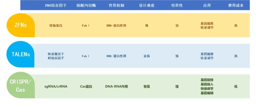 RmFicvQBAkgCOEhmiakQrDJJicv1LicuRIPXSBPANrKUmJvNAd1n7MzziaXIoWia74qPjteoqz01sZQhT5OibjJwnCa3A