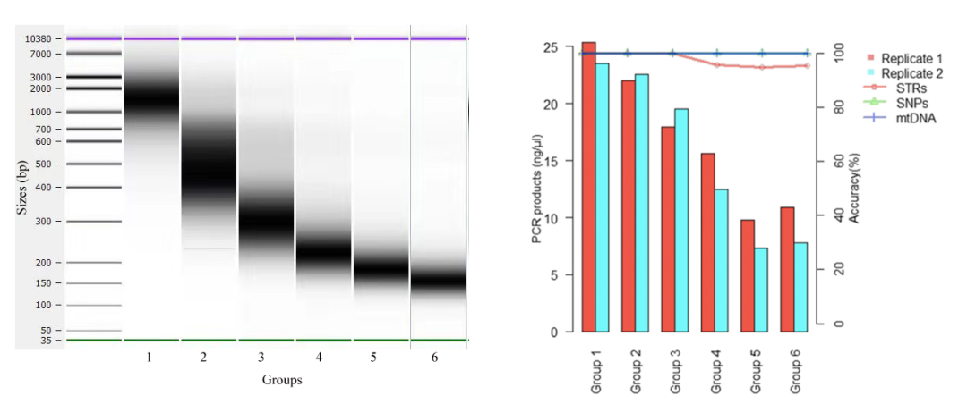 RmFicvQBAkgCQggHjXxBPbiasrw9jPBP95GsshLecqHA7J0fI8RF4ssFapNibMrUSO8bLyrPPcGj08n8OIdsw9seA