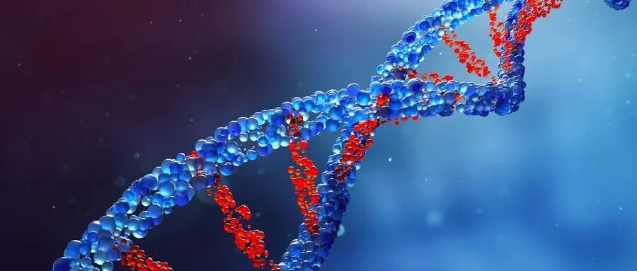 RmFicvQBAkgCV6uPXJ4WQqOgkCOIbx87FFqChxR9KKe2yhC5TlGmSx5ApJG7UMxqBibnfsBUyyAysWYiaQOquIGSg