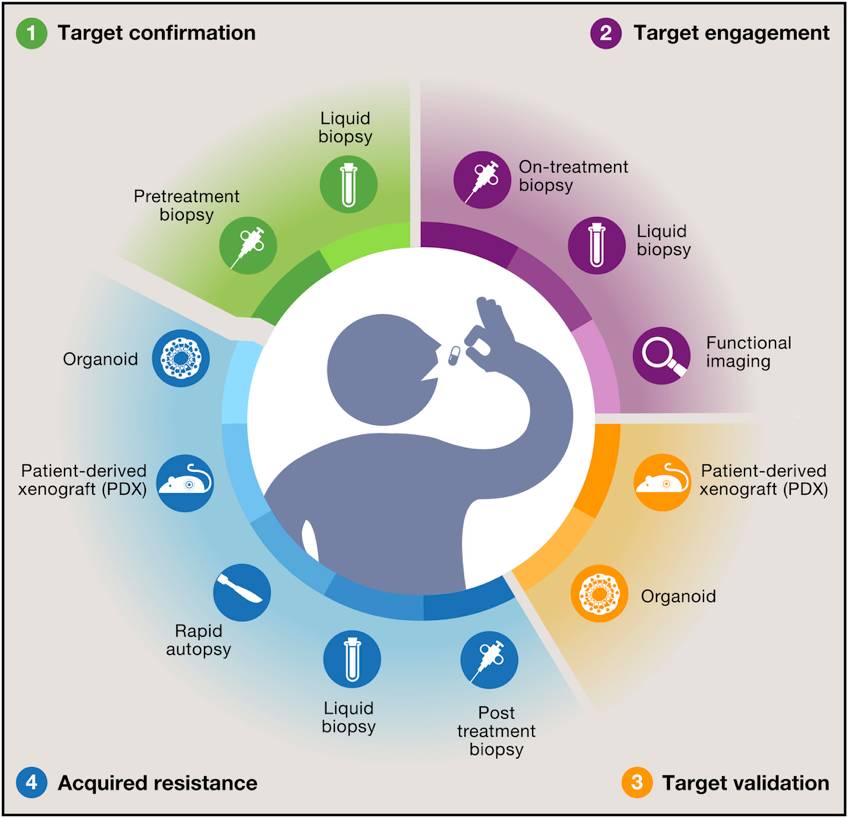 RmFicvQBAkgCbn0tDd0ZO2gOPYeSkyhDaA9zVecsAPMNicRYL0XzhblZs1aWKpLNClqDfZGLeROq4WV8XL5qGDKA