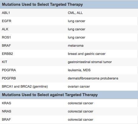 RmFicvQBAkgCbn0tDd0ZO2gOPYeSkyhDaLBWWlXoxV0NtmTZSs0fRTmLIlkiaGfzwXhL0QnYXnGh6DYBWZBLaHcA