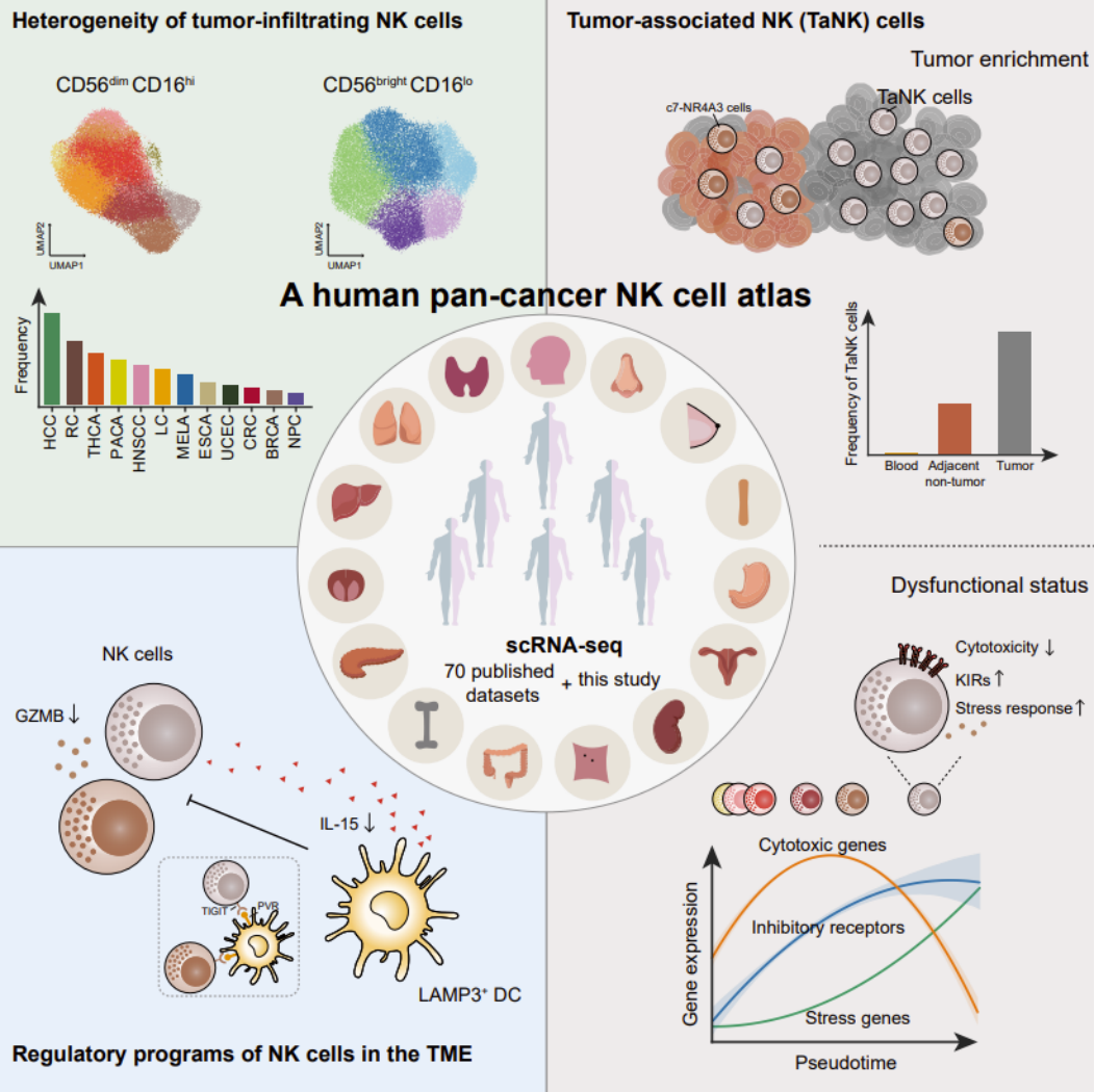 RmFicvQBAkgCdDv8bhh4kSK0Fw6JsW7OhSvicMNQibicTIDFyiakYMMbFj5Gdp0F2f3oorH0k8LZMAyLOjssklHmqNA