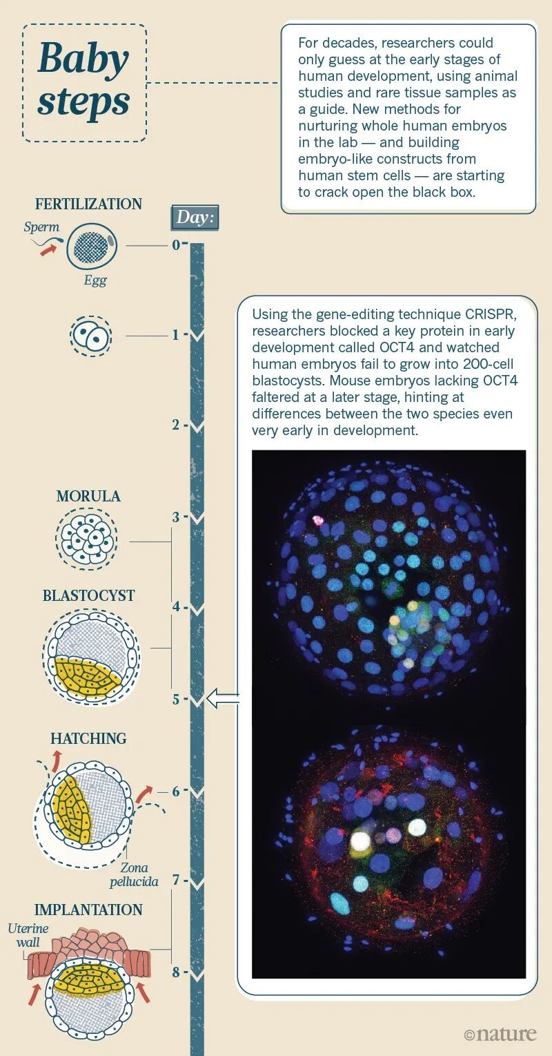 RmFicvQBAkgCecfxfz76zp3CiaIcgGI8PksKicBWOPapwicBB7WHF2fz6hXdws7syLcRxXAyOqRrcXQGslYnmicfozQ