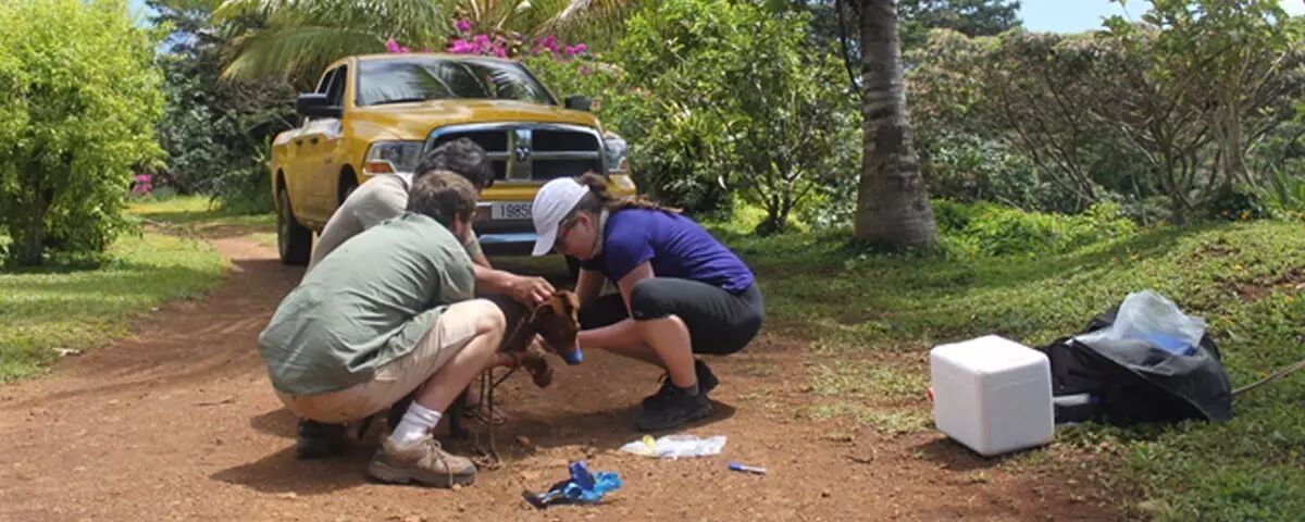 RmFicvQBAkgCfib8uypNzaZAoicsxtyhlQEXTRTNDkQKYkXNjlibREQk8kItPT8Uiaxb62GsohBTULI5YKdwKtzPxgQ