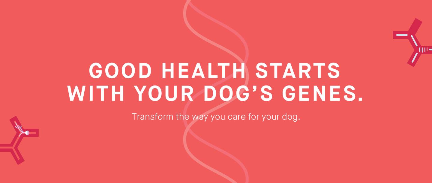 RmFicvQBAkgCfib8uypNzaZAoicsxtyhlQEXibVEDBf8tYnomyqgsHvEzoxK78NZswqZOEHETuFpCt6mx7htXpcVaw