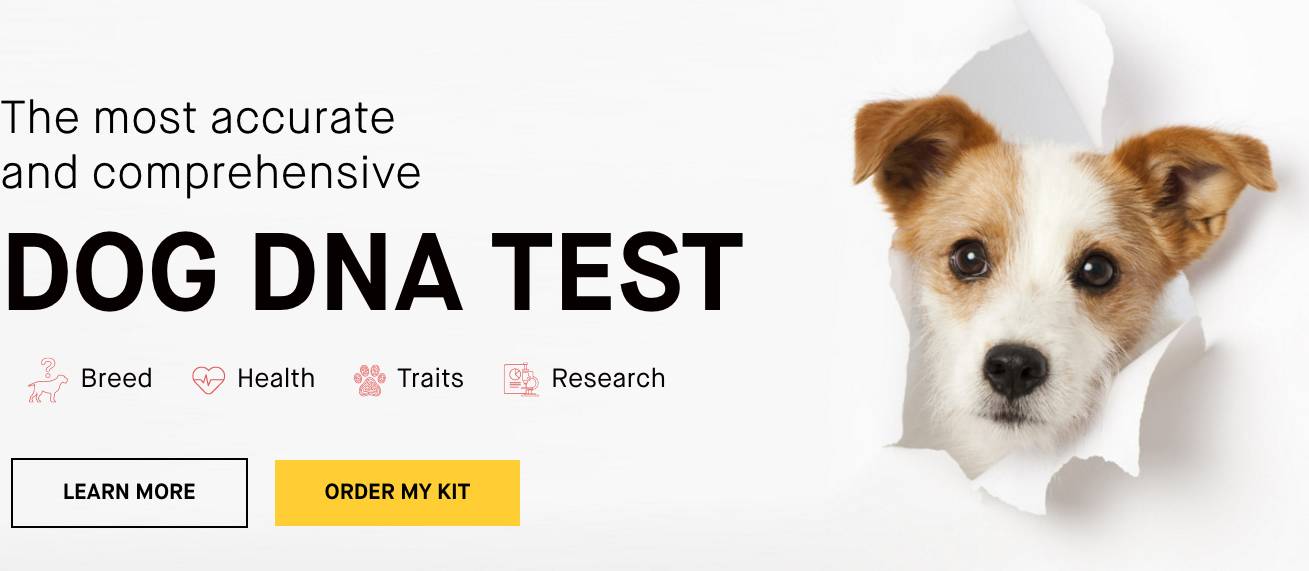 RmFicvQBAkgCfib8uypNzaZAoicsxtyhlQEdObtWfjB3aGgticXCX05gUrBiaIicyIicdUKcL3SWrJD5I8tpUInicPrNTw